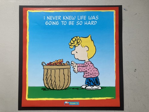Super snoopy peanuts gang - super,
