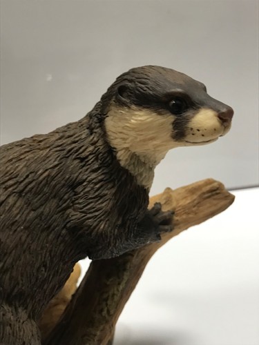 Border fine arts otter - border,