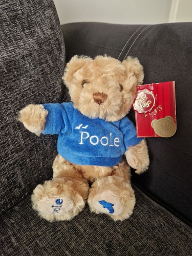 New keel toys - bear, soft