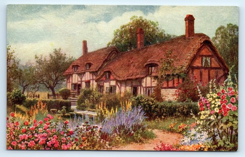 Postcards anne hathaway s - postcards,