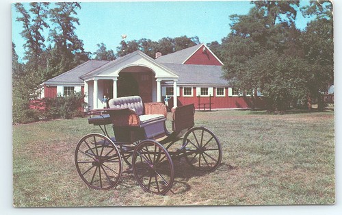 Postcard 19th century - postcard, basket