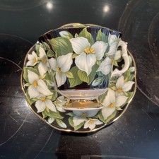 Royal Albert Provincial