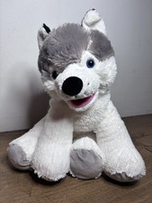 Siberian Husky Grey White Wolf