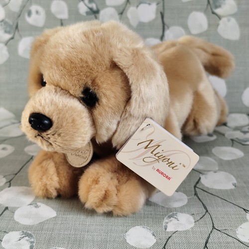 Aurora miyoni yellow labrador - miyoni,