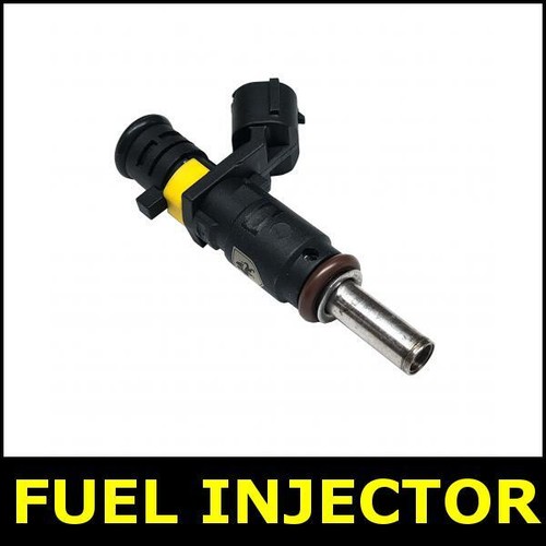 Fuel injector for - fuel,