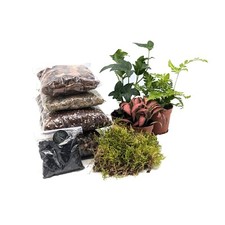 Diy medium closed terrarium - medium,