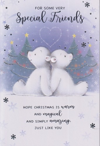 Special friends christmas - special,