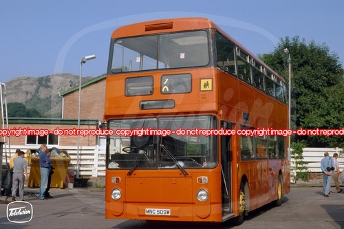 Bus photo voel - bus,