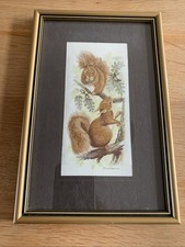J & J Cash's Silk Woven Picture of 2 Red Baby Squirrels On An Oak Tree VGC