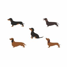 Set of 5 dachshund DIY Iron on