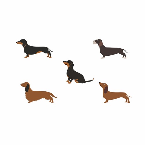 Set dachshund diy iron - 5,