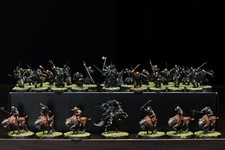 Angmar Pro Painted Army
