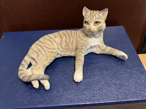 Country artists tabby cat - country,