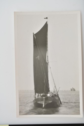 Gold belt thames sailing - gold,