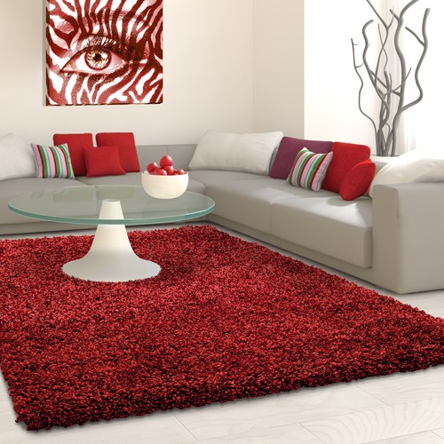 Thick fluffy shaggy rugs 5cm - shaggy,