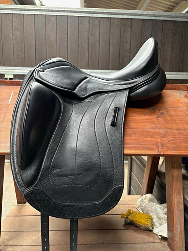Black leather horse riding - leather,
