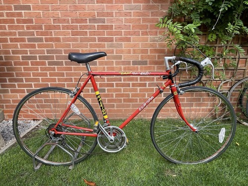 Vintage raleigh team europa - team,