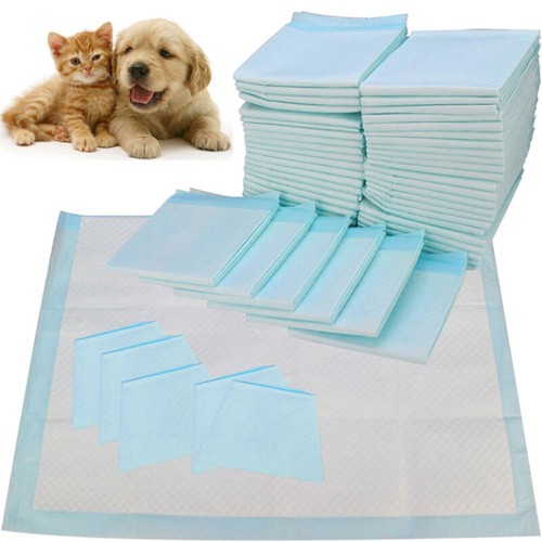 200x large puppy training - 200x,