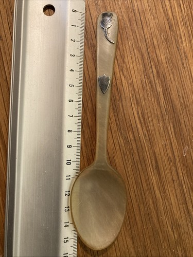 Vintage horn spoon with - with, silver