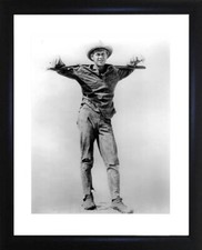 Steve McQueen Framed Photo