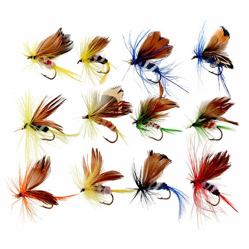 Trout flies for - for, fly