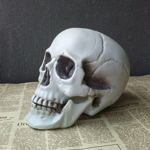 Halloween skull - halloween,
