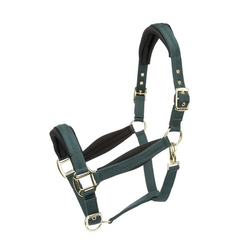 Shires arma padded - padded, headcollar