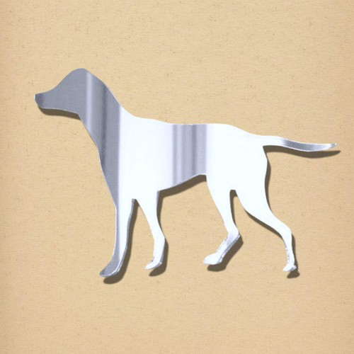 English pointer mirror - pointer,