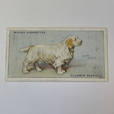 Wills’s Cigarette Cards. Dogs. No. 32. Clumber  Spaniel