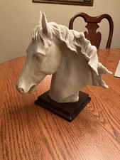 Auro Belcari Horse Head