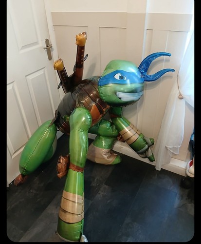 Teenage mutant ninja - ninja, turtles