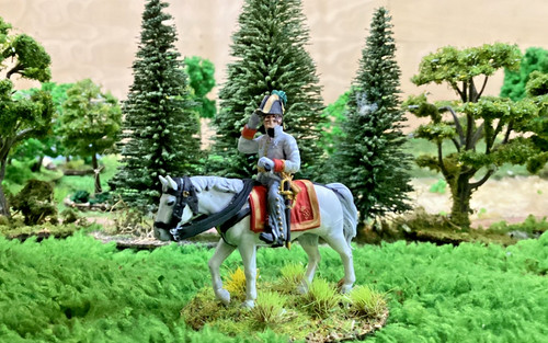 28mm napoleonic austrian - 28mm,