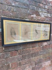 19th Century Four Framed Etchings of Birds of Prey - Framed, Mounted & Glazed 