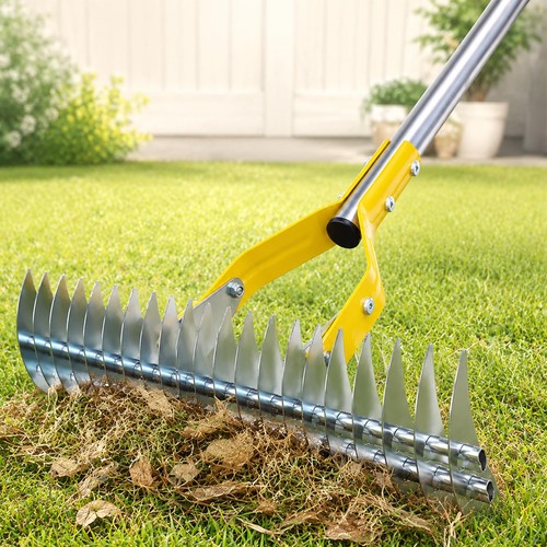 Thatch rake lawn - thatch, dethatcher