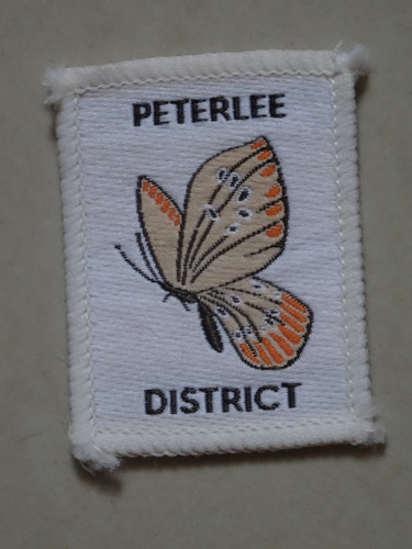 Peterlee district scout badge - district,