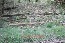 PHOTO  OLD RAILWAY SLEEPERS IN