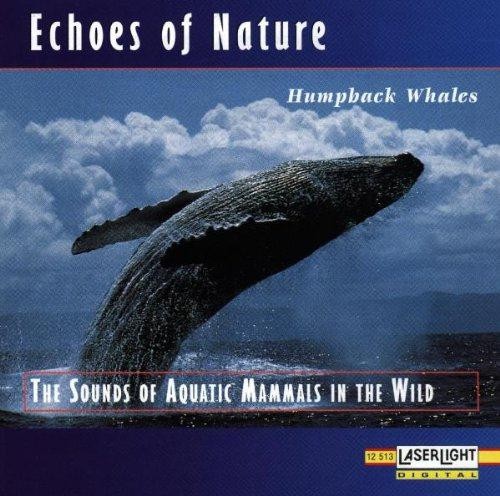 Echoes nature humpback - echoes,