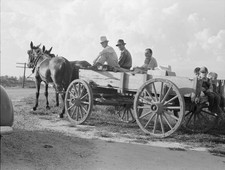 Horse wagon is still a common