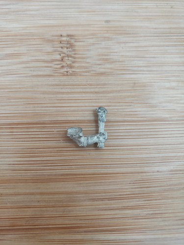 Skaven stormvermin drum - skaven,