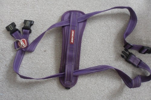 Purple ezy dog - dog, ezydog