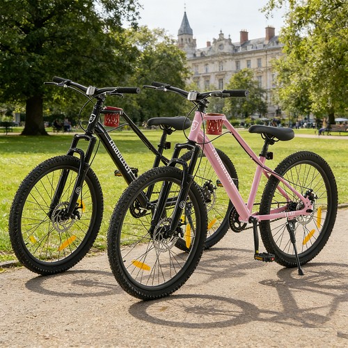 Inch bike adult teenager - 20,