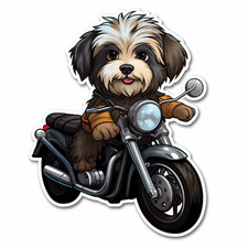 Havanese Car Sticker Dog