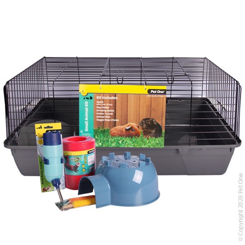 Pet one rabbit guinea pig - one,