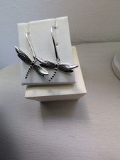 Beautiful Silver Dragonfly