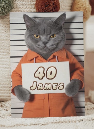 Sheba cat mug shot - cat,