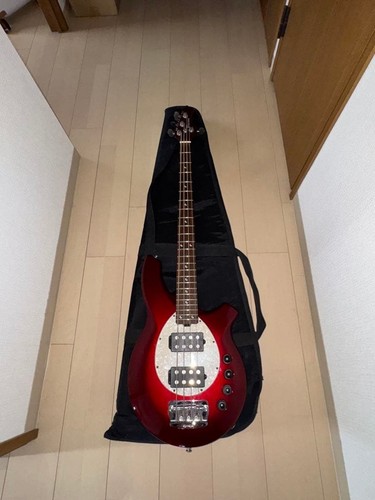 Ernie ball music man bongo - ernie,