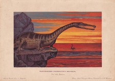 1902 NOTHOSAURUS MIRABILIS Print - Paleoart - Wall Art - 10.5 x 7.5 Inches