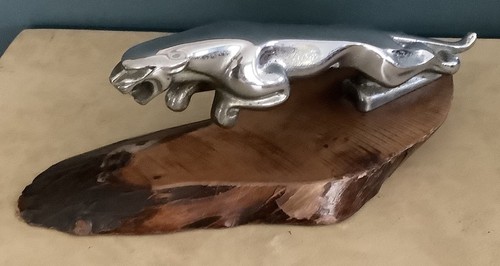 Jaguar leaper leaping - jaguar,