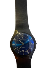 Skagen Watch Men’s Titanium