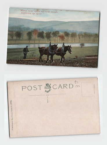 Postcard rural farming scene - postcard,